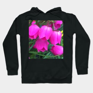 Petite Pink Bell Flowers Hoodie